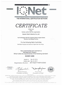 Kaysen IQNet Certificate